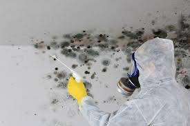 Best Air Quality Testing for Mold Spores  in Bryant, AR